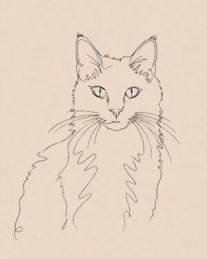 Gepersonaliseerd line art kattenportret van een kat in minimalistische one line art stijl