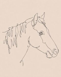Gepersonaliseerd line art paardenportret gemaakt van een foto in minimalistische one line art stijl